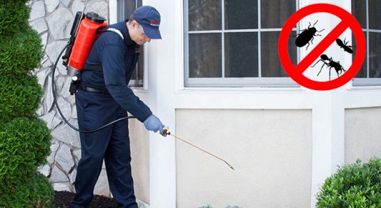 Fındıklı Böcek ve Haşere İlaçlama böcek ilaçlama ve haşere kontrolü — ilaclama-tr.com